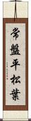 常盤平松葉 Scroll