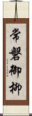 常磐御柳 Scroll