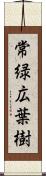 常緑広葉樹 Scroll