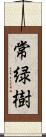 常緑樹 Scroll