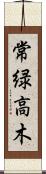 常緑高木 Scroll