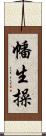幡生操 Scroll
