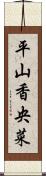 平山香央菜 Scroll