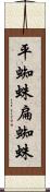 平蜘蛛 Scroll
