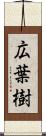 広葉樹 Scroll