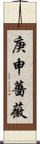 庚申薔薇 Scroll