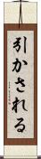 引かされる Scroll