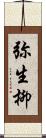 弥生柳 Scroll