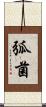 弧菌 Scroll
