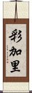 彩加里 Scroll