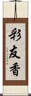 彩友香 Scroll