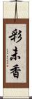 彩未香 Scroll