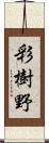 彩樹野 Scroll