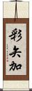 彩矢加 Scroll