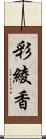 彩綾香 Scroll
