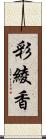 彩綾香 Scroll