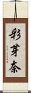 彩芽奈 Scroll