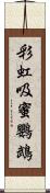 彩虹吸蜜鸚鵡 Scroll