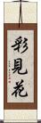 彩見花 Scroll