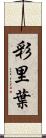 彩里葉 Scroll