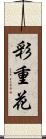 彩重花 Scroll