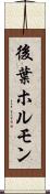 後葉ホルモン Scroll