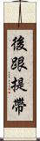 後跟提帶 Scroll