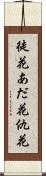 徒花 Scroll