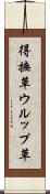 得撫草 Scroll