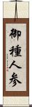 御種人参 Scroll