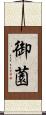 御薗 Scroll
