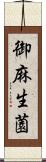 御麻生薗 Scroll