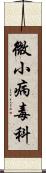 微小病毒科 Scroll