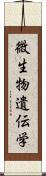 微生物遺伝学 Scroll