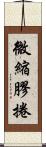 微縮膠捲 Scroll