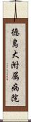 徳島大附属病院 Scroll