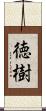 徳樹 Scroll