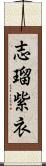 志瑠紫衣 Scroll