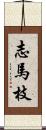 志馬枝 Scroll