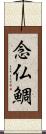 念仏鯛 Scroll