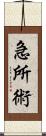 Kyusho Jitsu Scroll