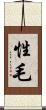性毛 Scroll