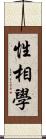 性相學 Scroll