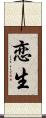 恋生 Scroll