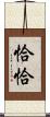恰恰 Scroll