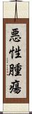 悪性腫瘍 Scroll