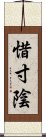 惜寸陰 Scroll