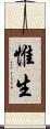 惟生 Scroll