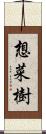 想菜樹 Scroll