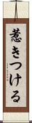惹きつける Scroll